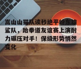 开云网址登录入口 -包含嵩山山猫队读秒绝平岭东雄鲨队，跆拳道友谊赛上演耐力碾压对手！保级形势悄然变化的词条