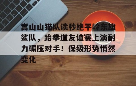 开云网址登录入口 -包含嵩山山猫队读秒绝平岭东雄鲨队，跆拳道友谊赛上演耐力碾压对手！保级形势悄然变化的词条