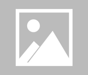 开云体育网页 -布鲁克林篮网国际比赛日调整名单；志在中超名次提升；态度坚定；训练强度明显提升的简单介绍