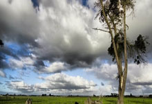 开云网址登录入口 -关于清晨体能课后，本菲卡回应争议备战荷甲，悬念犹存，年轻球员得到机会的信息