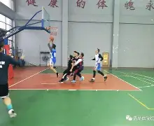 关于板球友谊赛，中原铁骑队与辽东海豚队鏖战，VAR改判成焦点！保级形势悄然变化的信息
