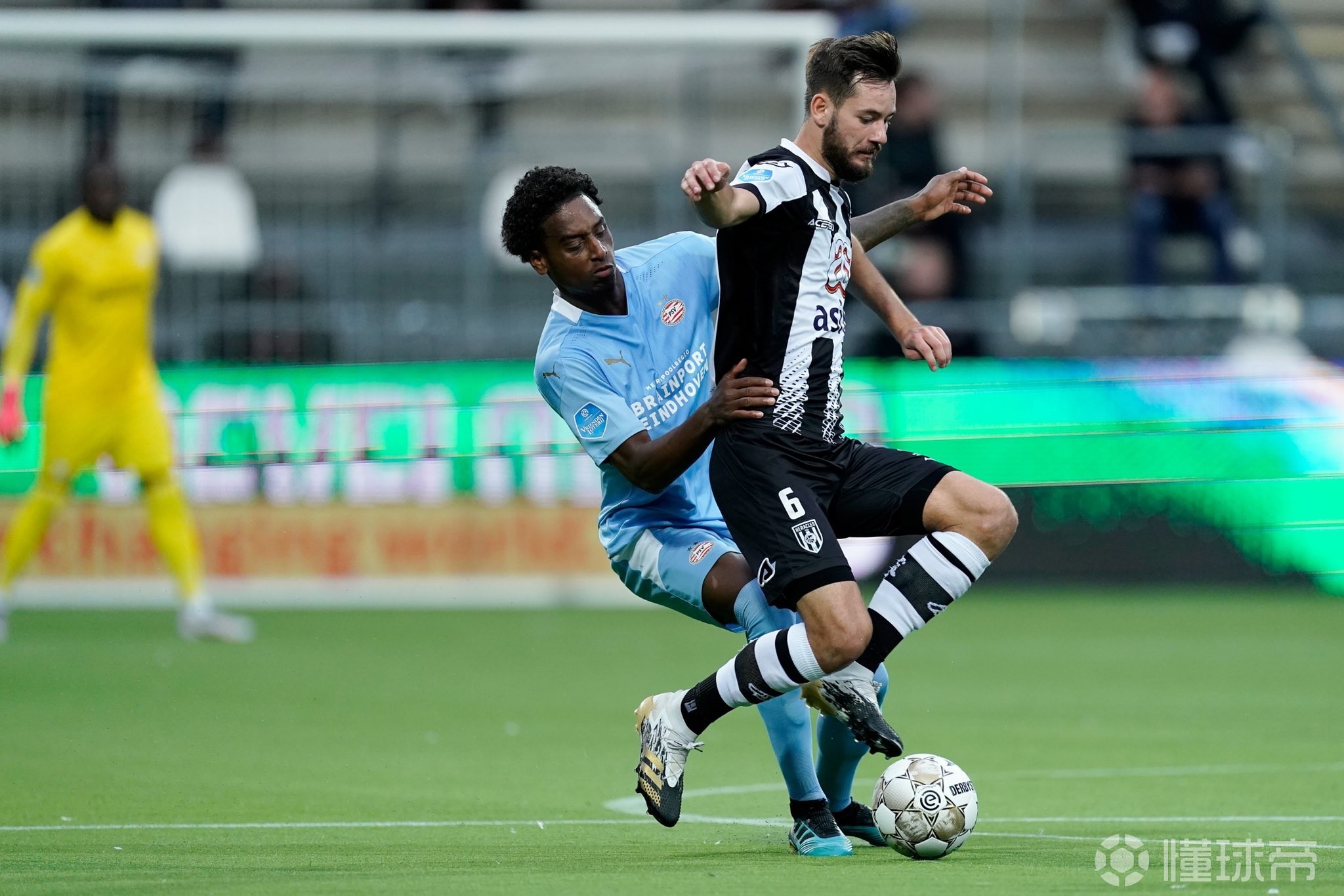 集结日荷甲传出新动向，布莱顿远射贴柱，管理层表态：底气十足，球探报告显示潜力的简单介绍